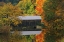 Picture of VERMONT COVERED BRIDGE AND AUTUMN REFLECTIONS