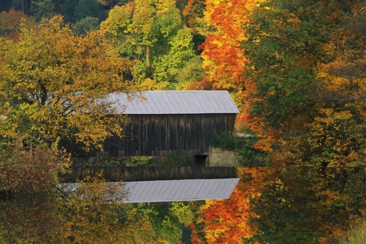 Picture of VERMONT COVERED BRIDGE AND AUTUMN REFLECTIONS