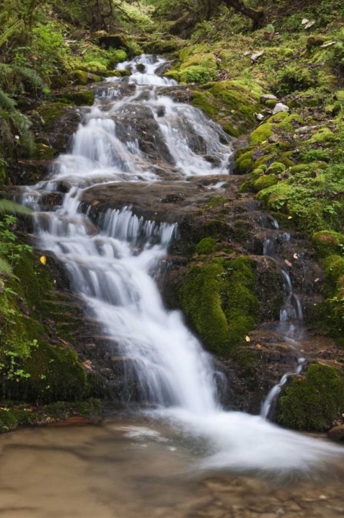 Picture of ASIA, BHUTAN WATERFALL IN CENTRAL BHUTAN