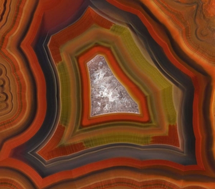 Picture of ARGENTINA CLOSE-UP OF CONDOR AGATE STONE
