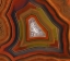 Picture of ARGENTINA CLOSE-UP OF CONDOR AGATE STONE