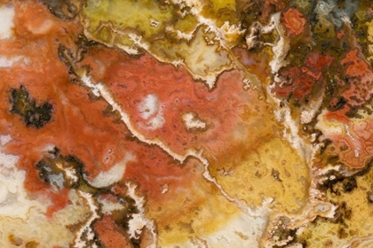 Picture of OREGON GRAVEYARD POINT PLUME AGATE STONE