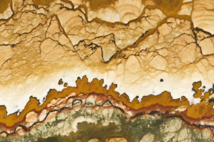 Picture of OREGON, ROCKY BUTTE PICTURE JASPER STONE