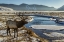 Picture of WY, NATIONAL ELK REFUGE MALE ELK NEXT TO STREAM