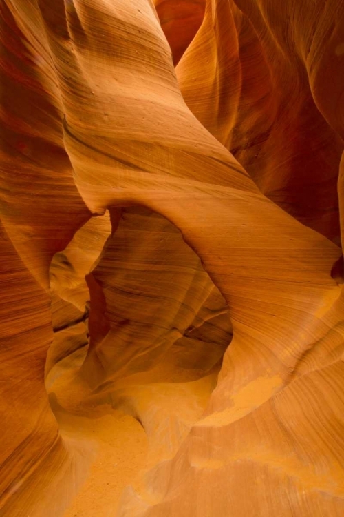 Picture of AZ, LOWER ANTELOPE CANYON SLOT CANYON FORMATION