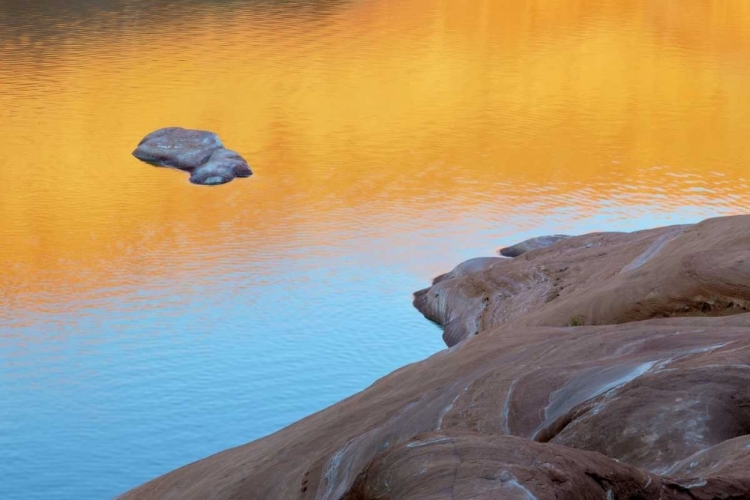 Picture of USA, UTAH REFLECTION IN LAKE POWELL