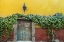 Picture of MEXICO DOORWAY TO COLORFUL BUILDING