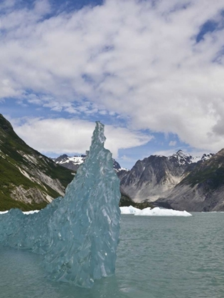 Picture of AK, GLACIER BAY NP FLOATING ICEBERG