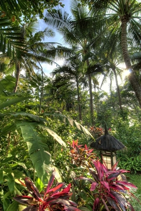 Picture of INDONESIA, BALI VIEW OF VEGETATION IN A GARDEN