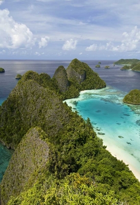 Picture of ISLAND VEGETATION, NEW GUINEA ISLAND, INDONESIA