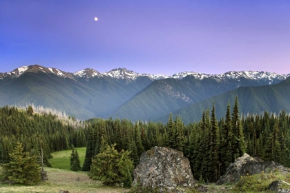 Picture of WA, OLYMPIC NP MOONRISE VIEWED FROM DEER PARK