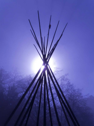 Picture of WA, SEABECK TEEPEE FRAME BACKLIT BY FULL MOON