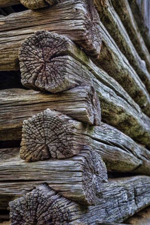 Picture of VA, ROANOKE, EXPLORE PARK DETAIL OF LOG CABIN