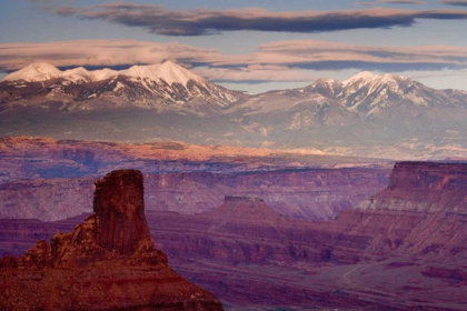 Picture of UT, DEAD HORSE POINT SP  LA SAL MTS AT SUNSET