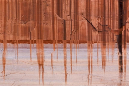 Picture of UT, GLEN CANYON SANDSTONE WITH VARNISH STAINS