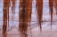 Picture of UT, GLEN CANYON SANDSTONE WITH VARNISH STAINS