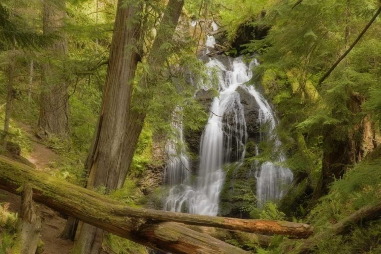 Picture of WA, ORCAS ISL, MORAN SP VIEW OF CASCADE FALLS