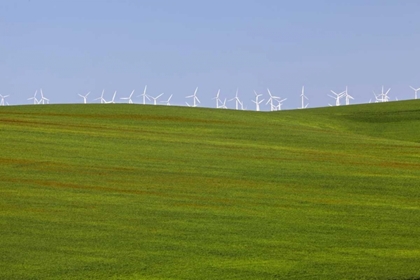 Picture of OR, WASCO WIND TURBINES ON VERDANT FARM FIELD