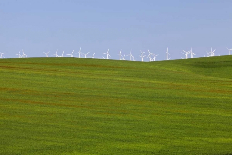 Picture of OR, WASCO WIND TURBINES ON VERDANT FARM FIELD