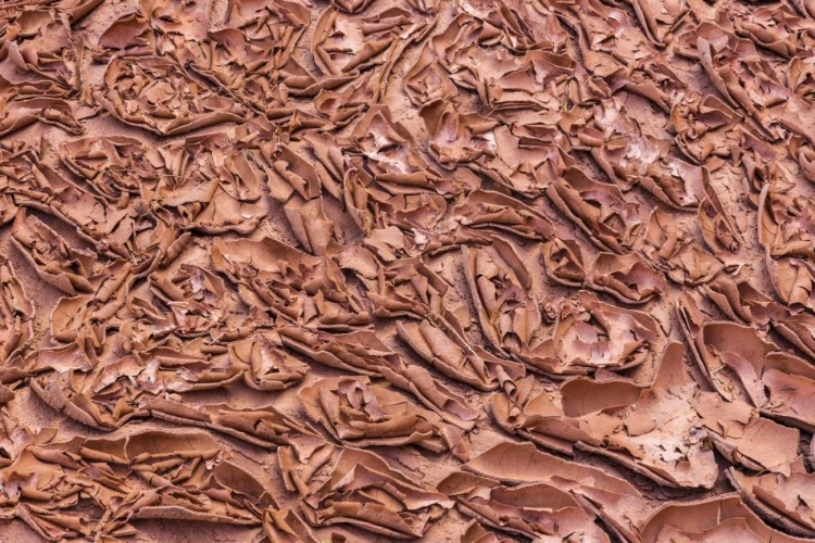 Picture of UT, GLEN CANYON DRIED MUD LEFT BY LAKE POWELL