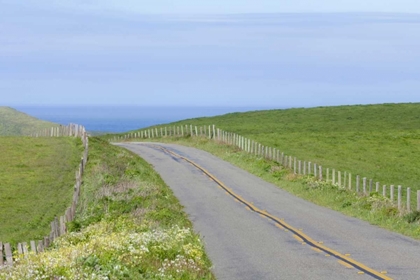 Picture of CA, ROAD THROUGH POINT REYES NATIONAL SEASHORE