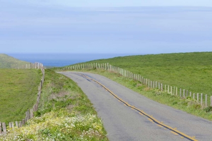 Picture of CA, ROAD THROUGH POINT REYES NATIONAL SEASHORE