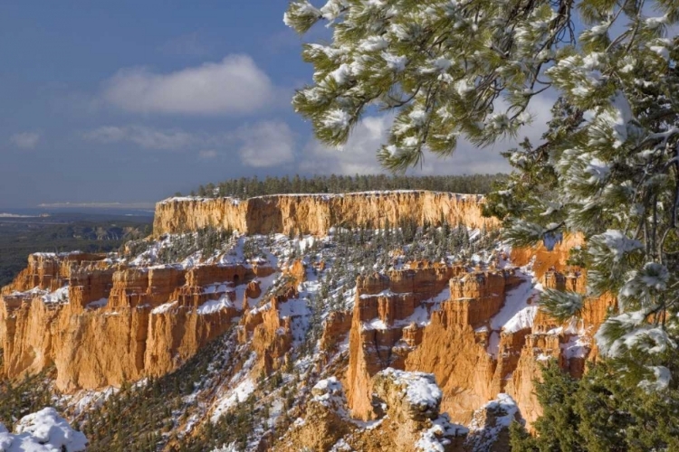 Picture of UT, BRYCE CANYON SUNRISE ON CANYON FORMATIONS