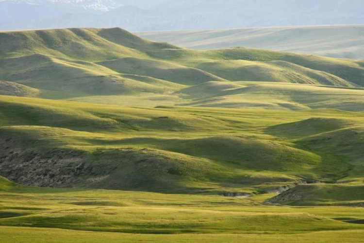 Picture of MT, ROCKY MT, GREEN HILLS EAST OF GREAT FALLS