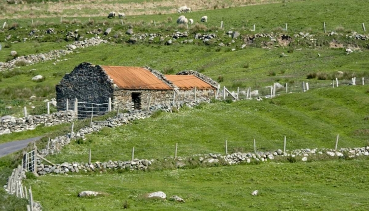 Picture of IRELAND, BARNABAUN POINT IRISH COUNTRYSIDE