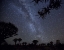 Picture of NAMIBIA MILKY WAY AND QUIVER TREES AT NIGHT