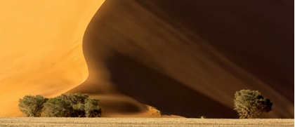 Picture of NAMIBIA, NAMIB-NAUKLUFT PARK DUNE AT SUNSET