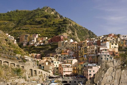 Picture of ITALY, MANAROLA TOWN AND TERRACED VINEYARDS