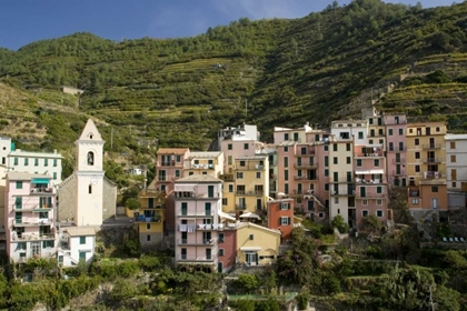 Picture of ITALY, MANAROLA TOWN AND TERRACED VINEYARDS