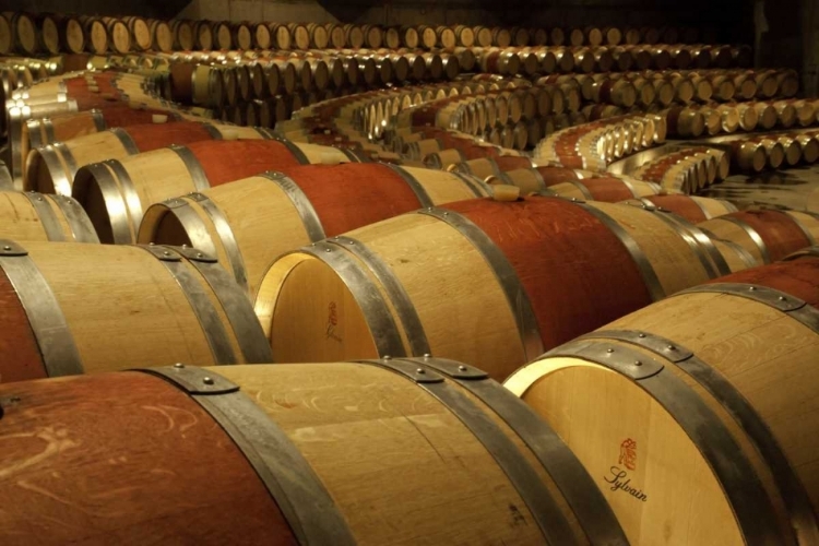 Picture of CHILE, COLCHAGUA WINE BARRELS IN THE CELLAR