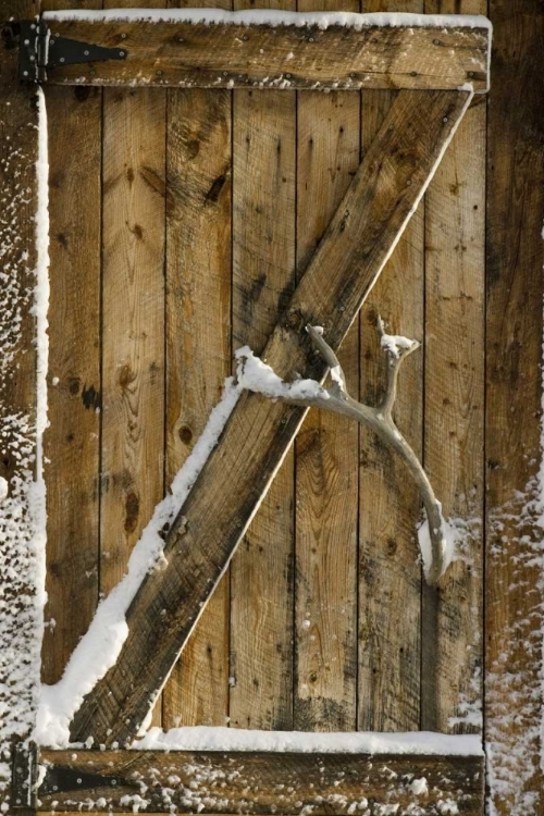 Picture of CANADA, CHURCHILL CLOSE UP OF A WOODEN DOOR