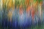Picture of CANADA ABSTRACT BLUR OF GARDEN COLORS