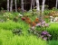 Picture of CANADA, NEW BRUNSWICK, GARDEN AND FOREST