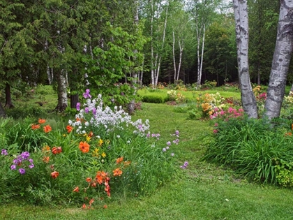 Picture of CANADA, NEW BRUNSWICK, GARDEN AND FOREST