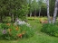 Picture of CANADA, NEW BRUNSWICK, GARDEN AND FOREST