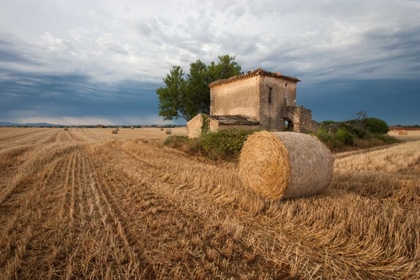 Picture of EUROPE, FRANCE HAY BALE IN PROVENCE FIELD
