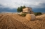 Picture of EUROPE, FRANCE HAY BALE IN PROVENCE FIELD