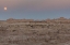 Picture of USA, SOUTH DAKOTA MOONRISE IN BADLANDS NP