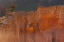 Picture of UTAH, BRYCE CANYON TREE IN ROCK FORMATION