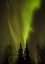 Picture of ALASKA, CHENA HOT SPRINGS AURORA BOREALIS