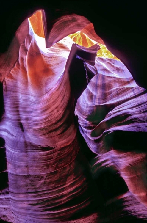 Picture of ARIZONA, SLOT CANYON IN UPPER ANTELOPE CANYON