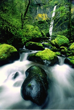 Picture of OR, COLUMBIA GORGE ELOWAH FALLS AND BOULDERS