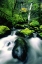 Picture of OR, COLUMBIA GORGE ELOWAH FALLS AND BOULDERS