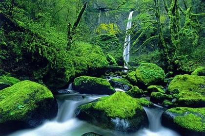 Picture of OR, COLUMBIA GORGE ELOWAH FALLS AND BOULDERS