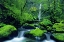 Picture of OR, COLUMBIA GORGE ELOWAH FALLS AND BOULDERS