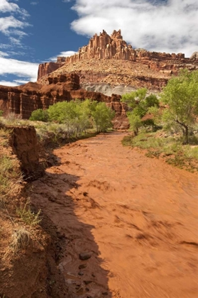 Picture of UT, CAPITOL REEF NP FREMONT RIVER AFTER RAIN